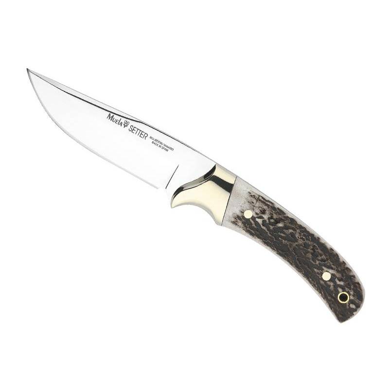 Muela POIGNARD SETTER CERF 11CM INOX