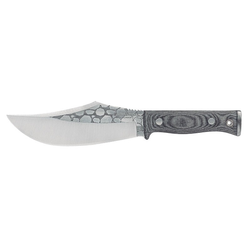 Condor Gryphus bowie