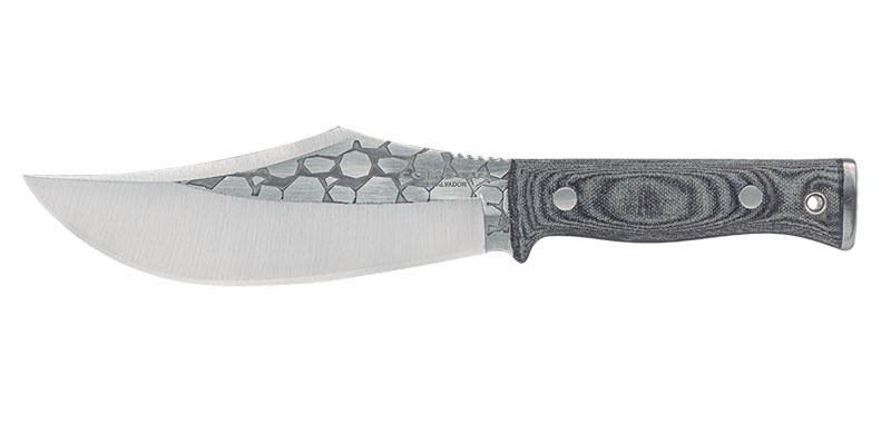 Condor Gryphus bowie