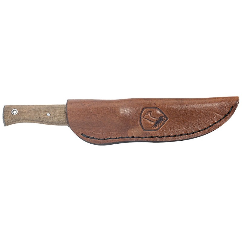 Condor Narrowsaur