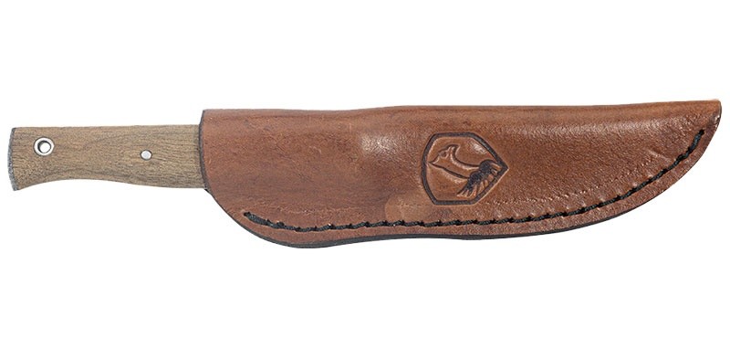 Condor Narrowsaur
