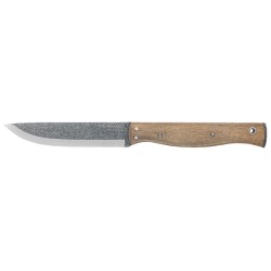 Condor Narrowsaur - Image 2