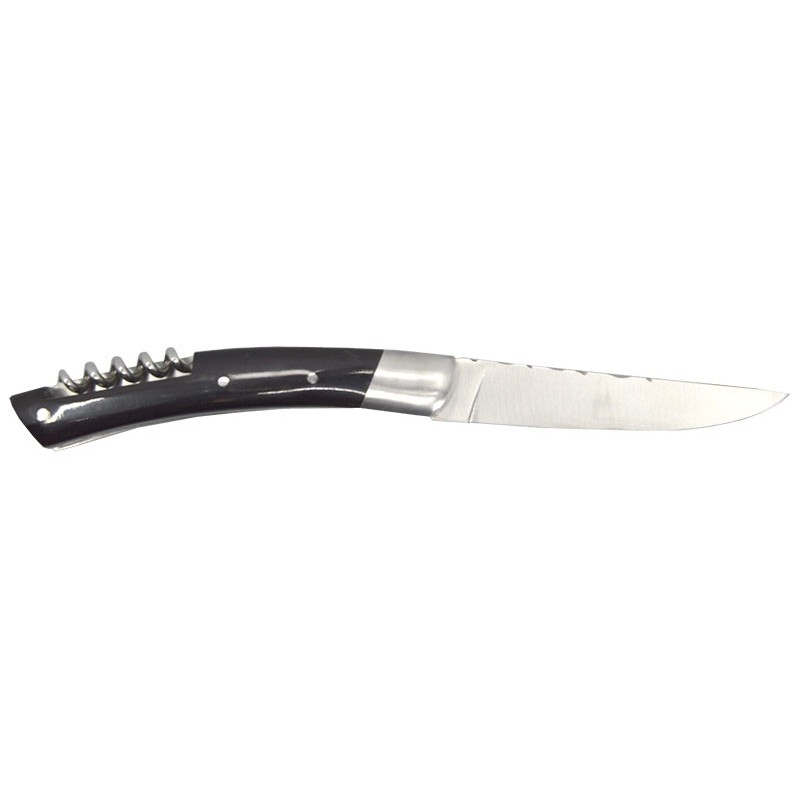 Coutellerie Chevalerias Le thiers 2 pièces