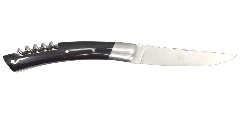 Coutellerie Chevalerias Le thiers 2 pièces
