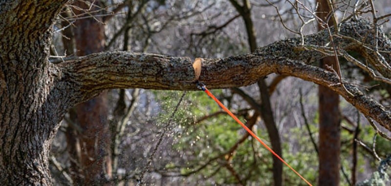 Nordic Pocket Saw Arborist V.2 Orange/Noire