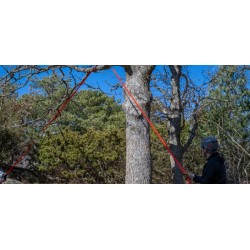 Nordic Pocket Saw Arborist V.2 Orange/Noire - Image 3