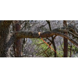 Nordic Pocket Saw Arborist V.2 Orange/Noire - Image 4