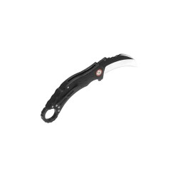 Qsp Eagle - Image 4