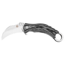 Qsp Eagle - Image 6