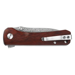 Qsp Hawk - Image 3