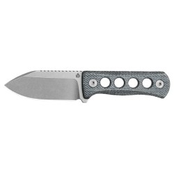 Qsp Canary - Image 6