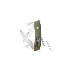 D05, olive, impression...